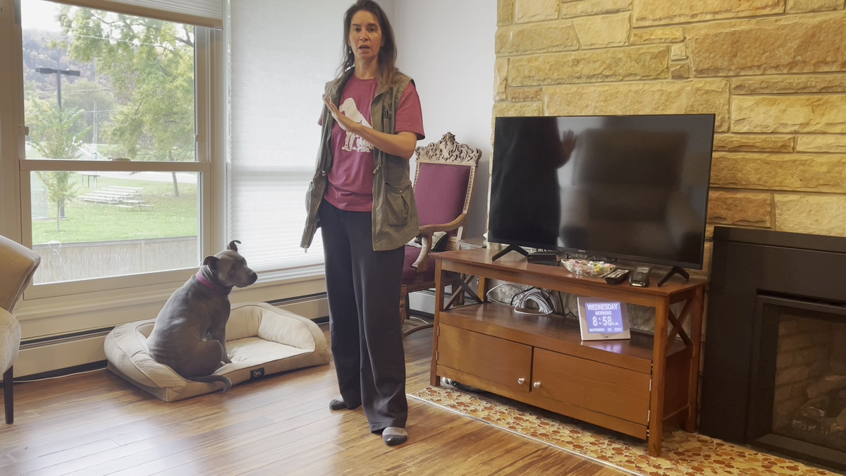 How to train a dog to go to their bed online