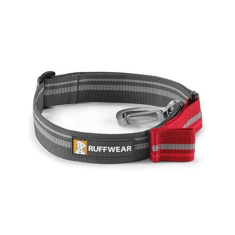 Safety Collars for Dogs