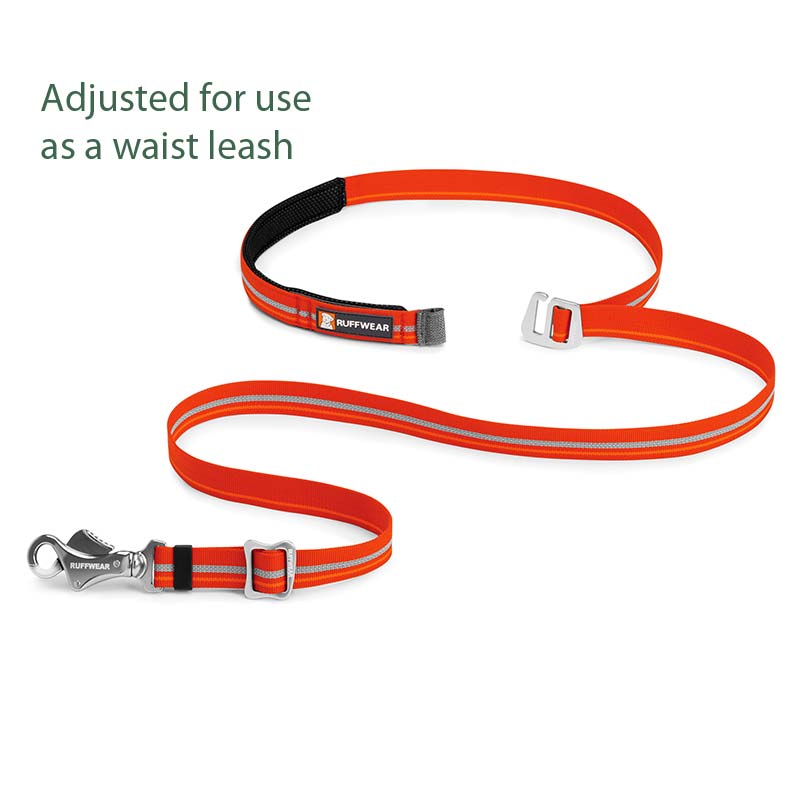 Multi-Function Leashes