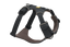 Front-Range-Harness-Basalt