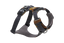 Front-Range-Harness-Moonli