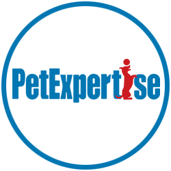 Pet Gear | Buy Training Gear for Dogs from Pet Expertise