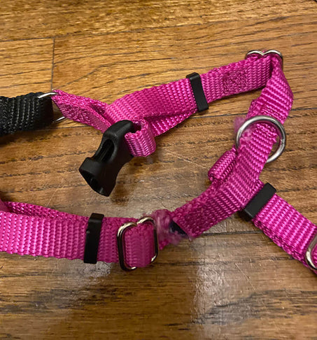 Damaged dog harness