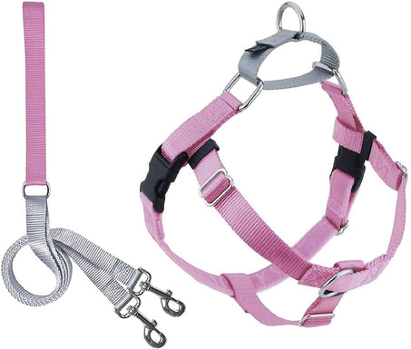 Harness and Leash Color Rose