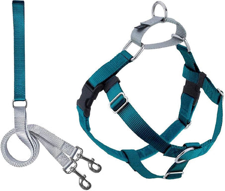 Harness and Leash Color Teal