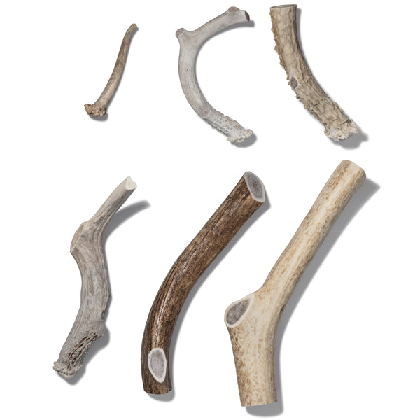 Natural Whole Antlers for Dogs