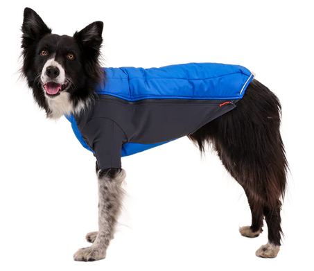 Powder Hound Dog Jacket from Ruffwear, Insulated & Full-Coverage