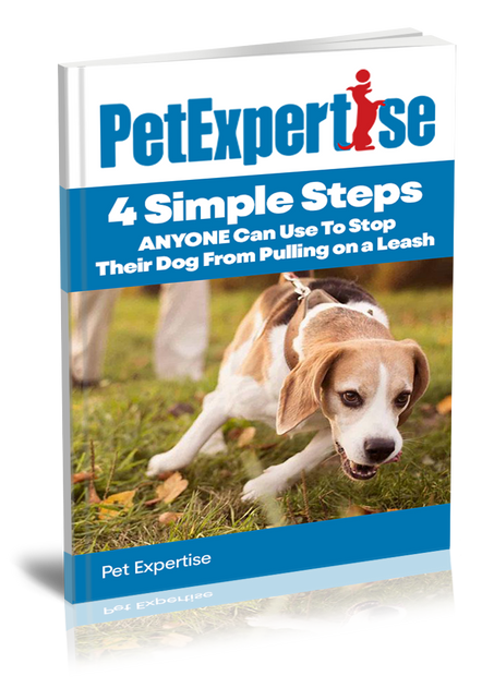 Dog Training to Not Pull Free eBook 