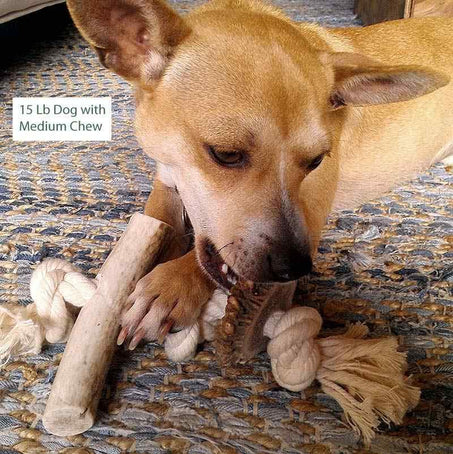 Antler Rope Chew in Use
