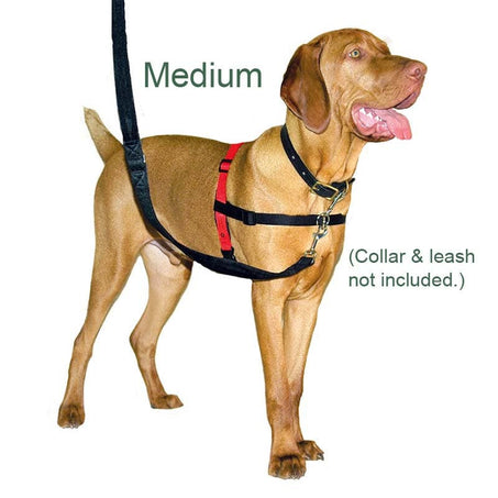Halti No Pull Dog Harness Medium