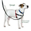 Halti No Pull Dog Harness Small
