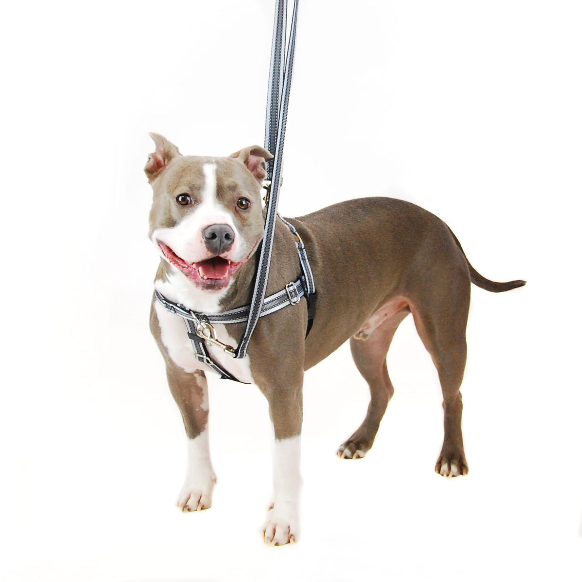 Reflective Freedom Harness Leash No Pull Harness with Padding