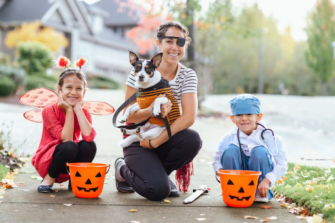 How Dogs REALLY Feel About Halloween (and How to Prep Them)