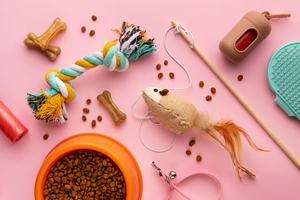 The Role of Chew Toys in Alleviating Dog Anxiety