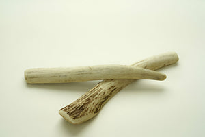 The Ultimate Guide to Antler Chews for Puppies: Top Picks and Tips
