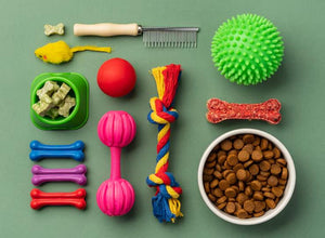How Chew Toys Can Aid in Dog Training