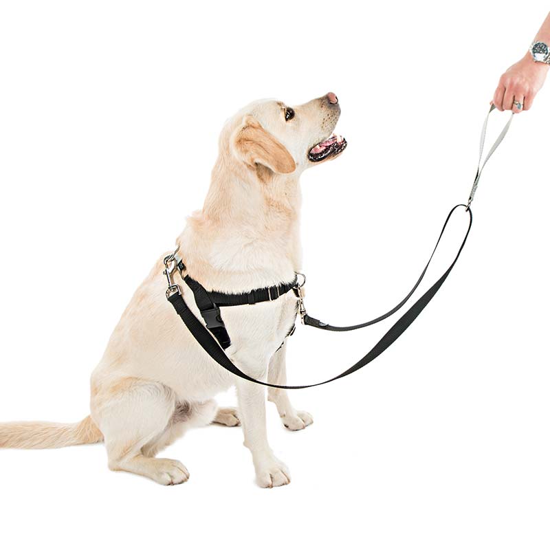 No-Pull Dog Harnesses