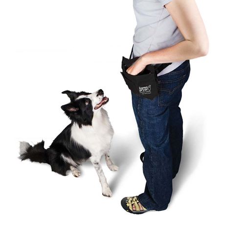 Must Have Dog Training Aids