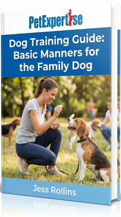 Basic Manners For The Family Dog