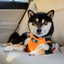 Clickit Terrain Plus Harness, Crash-Tested Dog Car Harness by Sleepypod