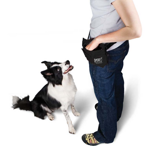 Timeout Dog Puppy Timeout: Using a Time Out to Stop Your Dog's Misbehavior – Pet ...