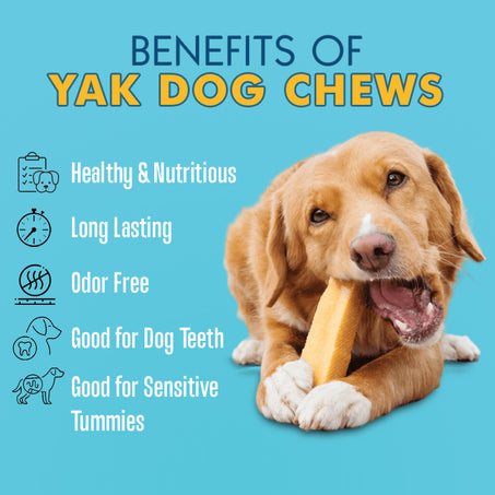 Yak dog chews benefits