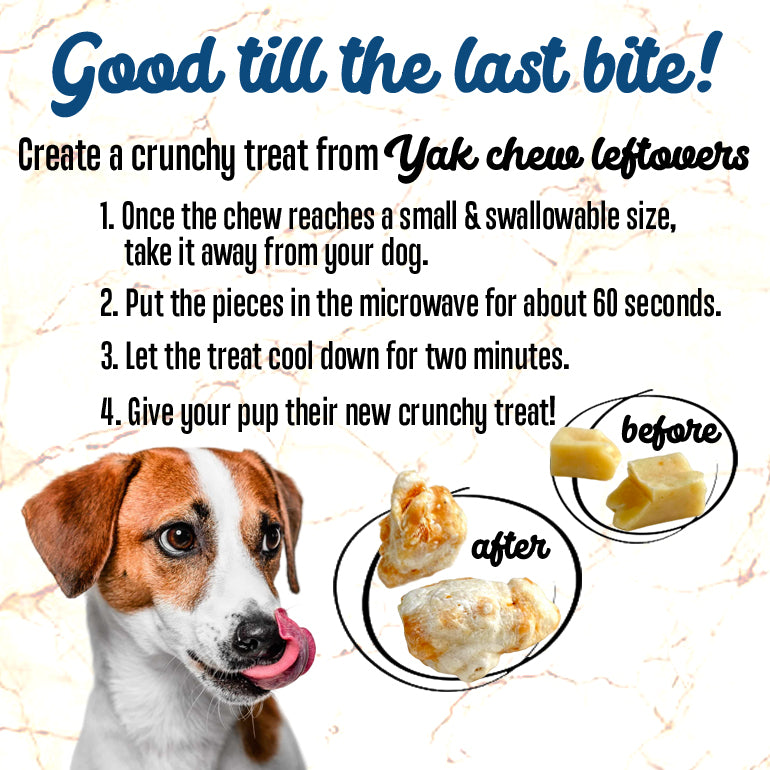 Your Dog How Many Hours Apart Should I Feed My Puppy Age How Many