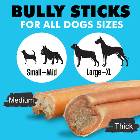 Bully Sticks for Dogs, X-Thick & Low Odor Options!