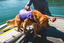 K-9 Float Coat Dog Life Jacket from Ruffwear