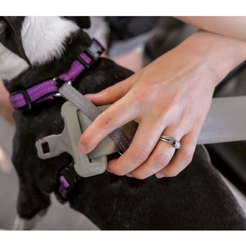 Petsafe In Harness Petsmart PetSafe In Harness, No-Pull