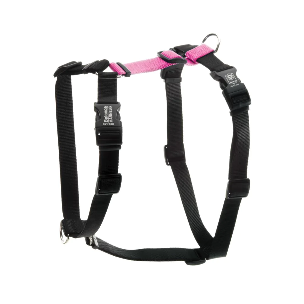 Balance No-Pull Harness: 6-Way Adjustable Special Order