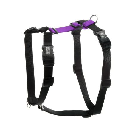 Balance Harness-Black-Purple