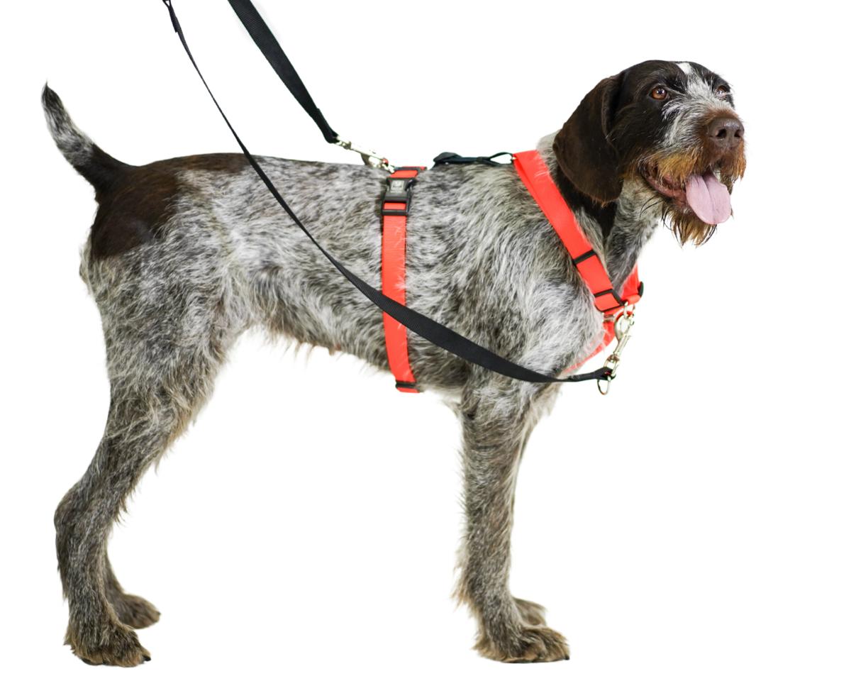 Balance No-Pull Harness: Six-Way Adjustable, Non-Restrictive. With