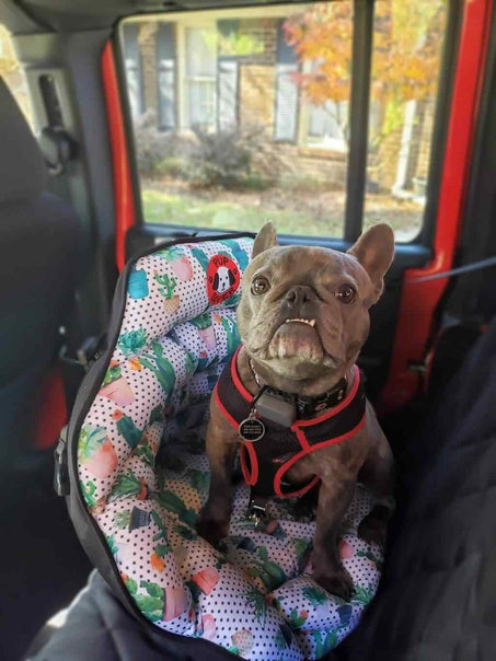 PupSaver Crash-Tested Car Safety Seat for Dogs CACTUS PRINT PupSaver Original