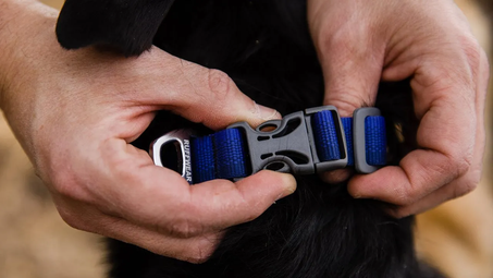 Front Range Collar Key Feature Durable Buckle