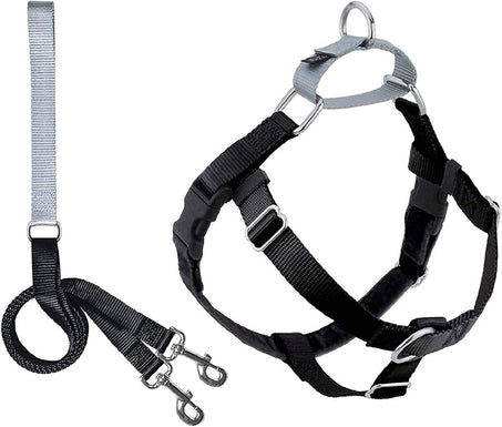 Harness and Leash Color Black