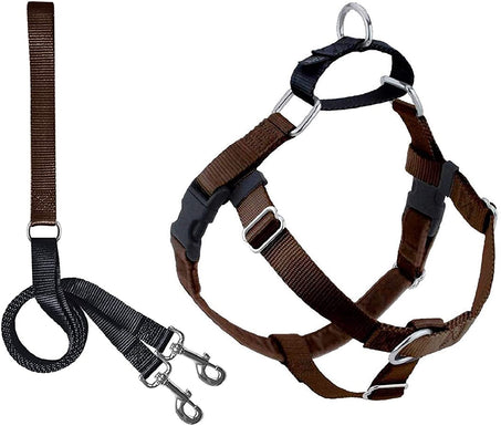 Harness and Leash Color Brown