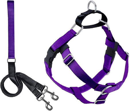 Harness and Leash Color Purple