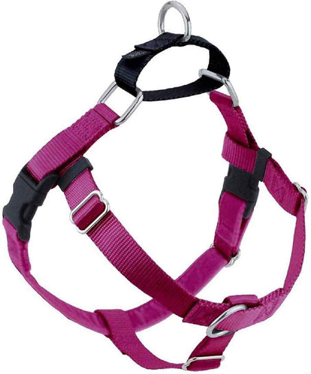 Harness only Color Raspberry