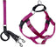 Harness and Leash Color Raspberry