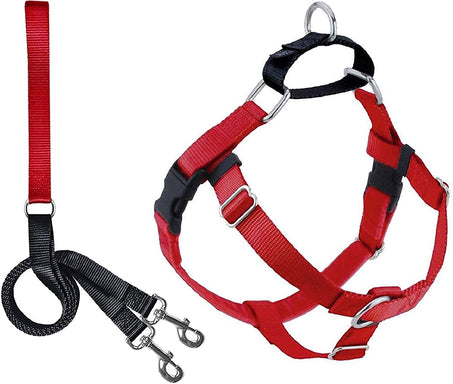 Harness and Leash Color Red