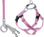 Harness and Leash Color Rose