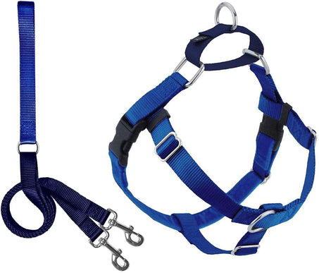 Harness and Leash Color Royal Blue