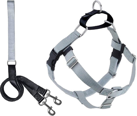 Harness and Leash Color Silver