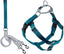 Harness and Leash Color Teal