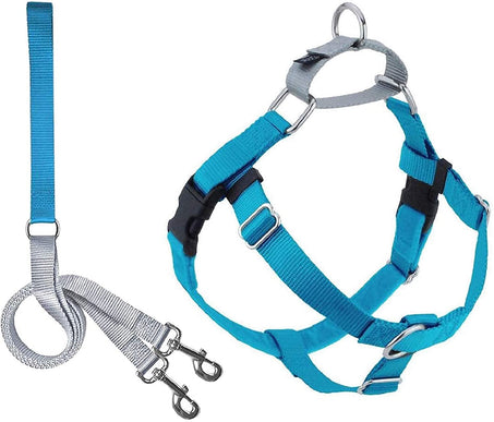 Harness and Leash Color Turquoise