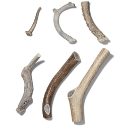 Natural Whole Antlers for Dogs