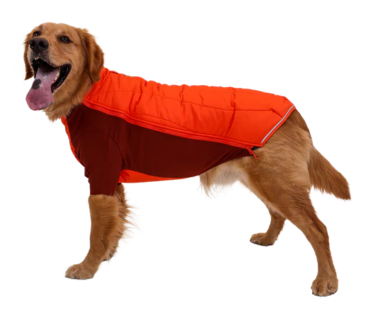 Ruffwear powder 2025 hound jacket