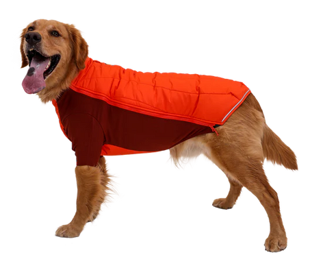 Powder Hound Dog Jacket from Ruffwear, Insulated & Full-Coverage
