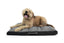 Ruffwear Restcycle Dog Bed for small dog